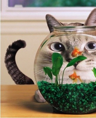 The water to be added is decanted for 24 hours.