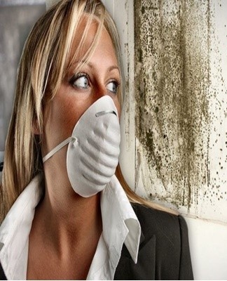 Basement and ground floor apartments often smell damp.