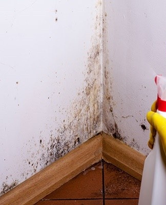 A powerful antiseptic that penetrates all building materials