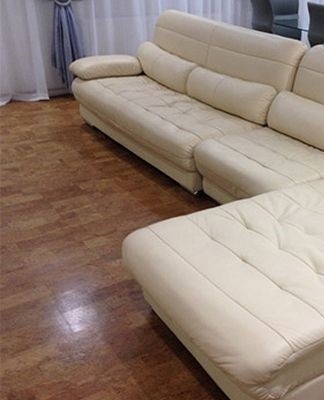 TOP 17 of the best remedies and how to wipe a handle from a sofa at home