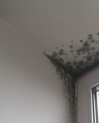 humidity on the ceiling