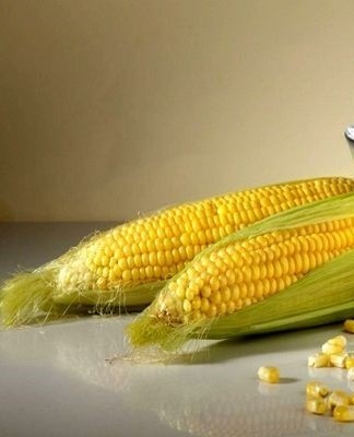 starch and corn