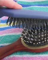 Ways to quickly clean your comb and home care rules