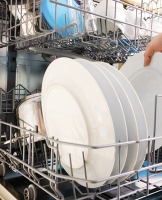 dishes in the dishwasher
