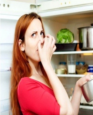 50 Best Remedies and Methods to Eliminate Bad Fridge Smells