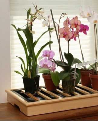 The main advantage of the clay pot is the excellent air permeability of the material.