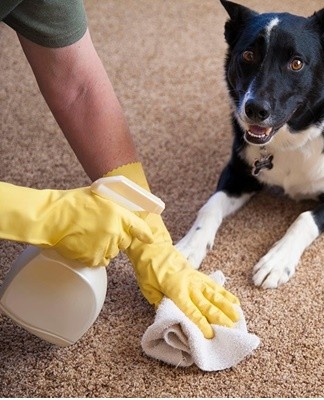 A solution of citric acid will help eliminate unpleasant odors and prevent the appearance of yellow streaks.