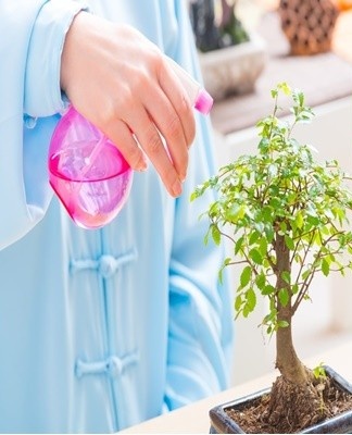 Watering the azalea should be vigorous, but not excessive.