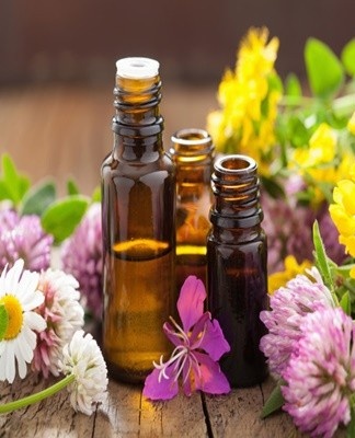 To remove fresh mold stains, take any essential oil