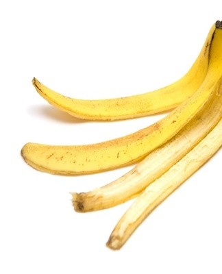 The ficus can be fertilized with a banana peel.