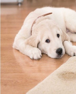 Before you start the fight against an unpleasant odor, determine the source of the appearance.