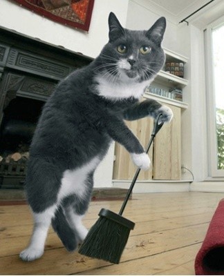 Chlorine, as well as chlorine-containing detergents, are not able to mask an unpleasant odor, but only, on the contrary, will intensify it.