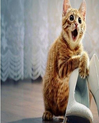 Suede shoes are cleaned with the utmost care.