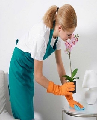 Varnish is applied to furniture only with a damp cloth.