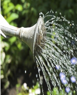  To soften the liquid, it can be boiled, filtered and defended.