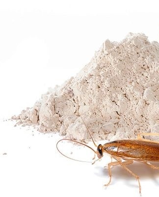 silverfish powder