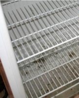 TOP 20 methods and tools to clean mold in the refrigerator