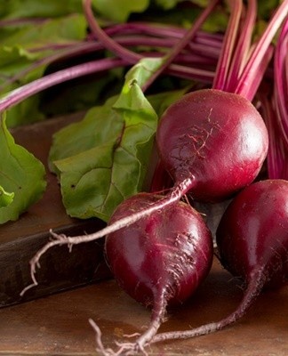 Rules and methods of storing beets at home for the winter
