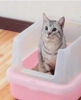 How can you clean the urinary stone from the cat litter so that there is no smell