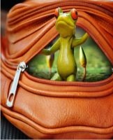 TOP 16 methods to quickly get rid of the bad smell of a new bag