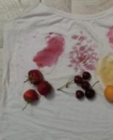 Rules and overview of the best ways than washing apricots from clothes