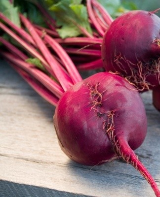 Dutch breeders have created a cold-resistant variety with a high sugar and betanin content.