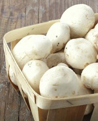 Frozen mushrooms stay crispy and tasty at 18°C ​​stability.