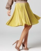 Step-by-step instructions for ironing a pleated skirt with an iron