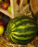 How much cut watermelon can be stored in the refrigerator