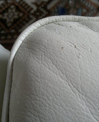 Light furniture after such cleaning gets less dirty, looks well-groomed and refreshed.