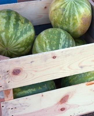 For storage, clay and water are mixed together, covered with an even layer of watermelon and left to dry completely.
