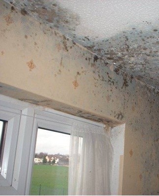 It is possible to suspect the presence of mold in a dwelling when particular signs appear and a deterioration in well-being.
