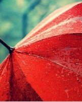 Recommendations for properly drying an umbrella after rain and the main mistakes