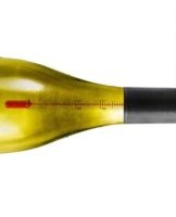 How to store wine at home, terms and conditions for different types