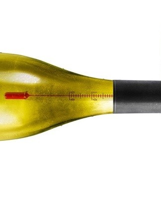 How to store wine at home, terms and conditions for different types