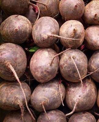 Ventilation and a high layer of straw and earth protection above the beets are necessary.