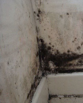 Signs of an autoimmune response can appear not only in people with reduced immunity