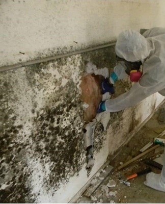 You can get rid of moisture in the house by sealing the source and the heater.