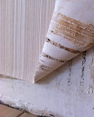 Wallpaper with a moisture-resistant coating, after removing mold from the wall and re-gluing, is treated with soapy water.