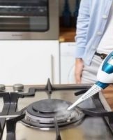 Which steam cleaner is better to choose, rating and review of 15 models