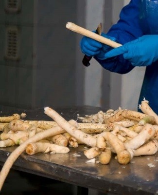 horseradish cleaning