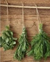 Rules and methods for storing fresh greens in the refrigerator and dried for the winter