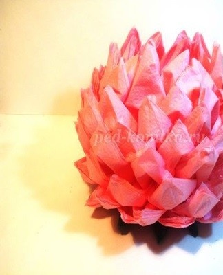 Before you start folding, you need to decide on the color of the lotus petals and leaves.