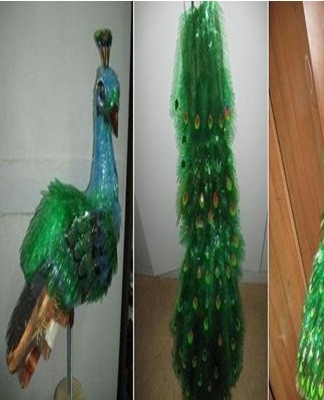 For a lush tail, you will need an average of 26 feathers.