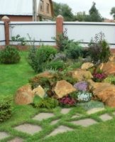 How to make an alpine slide with your own hands, an overview of flowers and plants