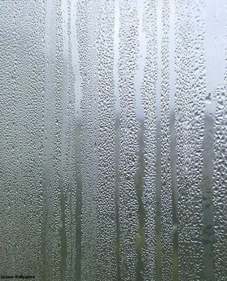 Installing a hood helps to minimize humidity after cooking, washing.