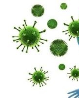 TOP 20 methods for humidifying the air in a room with your own hands at home