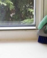 TOP 15 methods, how and how to clean a plastic window sill at home
