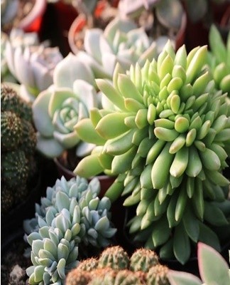 Charcoal, gravel, pebbles or crushed brick chips are sometimes added.