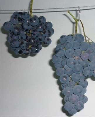 Whitewashing the walls prevents mold.